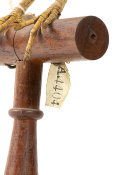 Image of swing-tag, see transcription