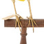 Eastern Meadowlark perching on wooden mount facing forward