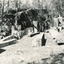 A stone quarry surrounded by trees, rectangular granite stone blocks lie in the foreground.