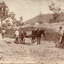 Six men and two horses with carts stand amidst a partially constructed road in the Australian countryside. Four men stand side by side approximately a metre apart. A fifth man stands beside one horse and cart with a shovel in his hand, facing the four. The last man stands in the foreground, leaning against the second horse and carriage.  