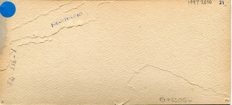 Peeled layers of cardboard mount showing hand-written pencil-marks: 84.216-1 ; Newtown ; 1997.2650 ; 21 ; BMM3056 ;