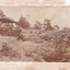 Four men relaxing under a wooden structure on four poles on a hilly landscape in 1899. One man stands nearby, in front of a stone wall. A dog is depicted standing by the four men, with one sitting man holding a smaller dog or puppy. Rock and dirt piles surround the men in an open bush setting. Some wooden logs can be seen stacked on top of each other in the middle of the photograph.