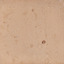 Reverse of a sepia toned image. The mount has pin marks on each corner and some age spots/dirt.