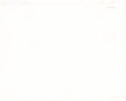 photograph reverse. small pencil inscription in top right corner, reads 7793.1