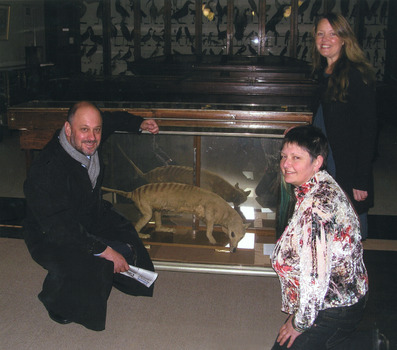A crouching man and women surround a glass case containing a Thylacine, another women is standing next to the case. They are all smiling at the camera and behind them are hundreds of taxidermy specimens lining the wall, also in glass cases.