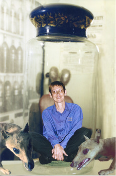 A woman (Beryl) sitting crosslegged in a glass specimen jar, on either side of the jar are the busts of taxidermic Thylacines. This is the photograph used for the invitation to Beryl's Bash.