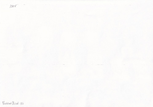 Reverse of photograph containing ID number 3308 in top left corner, and the bottom left corner has the words "Woolshed School 190"