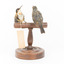 Two eastern spinebills on a stand. Front view