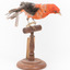 Taxidermy specimen of a male Scarlet Tanager standing on a wooden mount.