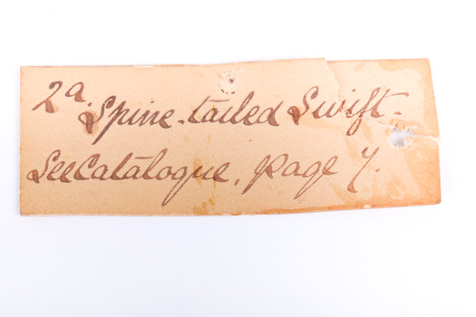 Image of swing-tag, see transcription