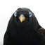A male Satin Bowerbird taxidermy specimen standing on a wooden platform