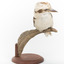 Kookaburra standing on a wooden branch facing forward