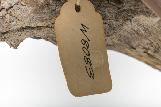 Image of swing-tag, see transcription