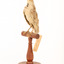 Rufous Songlark sitting on a wooden perch facing forward