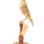 Rufous Songlark sitting on a wooden perch facing forward
