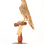 Rufous Songlark sitting on a wooden perch facing forward