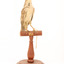 Rufous Songlark sitting on a wooden perch facing forward
