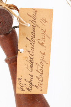 Image of swing-tag, see transcription