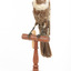 Ring Ouzel standing on a wooden perch facing forward
