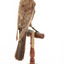 Ring Ouzel standing on a wooden perch facing forward