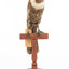 Ring Ouzel standing on a wooden perch facing forward