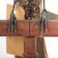 Ring Ouzel standing on a wooden perch facing forward