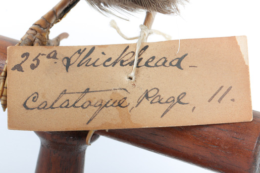 Image of swing-tag, see transcription