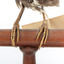 Eastern Whipbird standing on a wooden perch facing forward