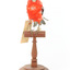 Specimen of a male Scarlet Tanager standing on a wooden mount