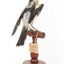 White Winged Triller standing on wooden mounted post facing backwards. 