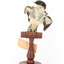 White Winged Triller standing on wooden mounted post facing forward. 