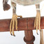 Dollarbird standing on a wooden mount facing forward, close-up of the feet. 