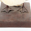 Silver Gull standing on a wooden mount facing forward, close-up of the feet. 