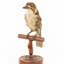 Grey Butcherbird standing on a wooden perch facing forward