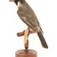 Grey Butcherbird standing on a wooden perch facing back