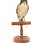 Grey Butcherbird standing on a wooden perch facing forward