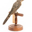 A fan-tailed cuckoo standing on a wooden mount facing back