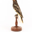 A Regent Honeyeater standing on a wooden mount facing left