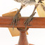 A close-up of the feet of a Regent Honeyeater on a wooden mount 