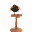 Red-winged Blackbird / Red-winged Starling standing on a wooden mount facing forward
