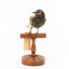 (Warty faced) honey-eater on a wooden perch facing forward