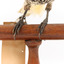 (Warty faced) honey-eater on a wooden perch facing forward close-up of feet 