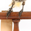 (Warty faced) honey-eater on a wooden perch facing forward close-up of feet 