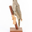 Grey-headed Woodpecker attached to a sloping vertical wooden mount presenting left