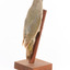 Grey-headed Woodpecker attached to a sloping vertical wooden mount presenting back-right