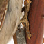 Close-up of Grey-headed Woodpecker feet attached to a sloping vertical wooden mount presenting right