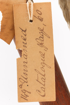 Image of paper swing tag (see transcript)