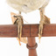Close up of green woodpecker legs mounted on wooden perch presenting front. 
