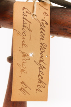 Close up of paper swing tag - see transcript