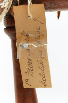 Close up of swing tag (see transcript)